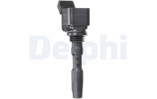 Bobina GN10631-12B1 Delphi, Imagen 11