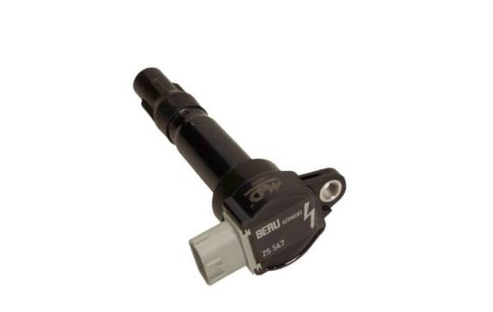Bobina ZS 547 Borgwarner Beru, Imagen 2