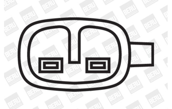 Bobina ZS052 Borgwarner Beru, Imagen 2