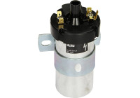 Bobina ZS124 Borgwarner Beru