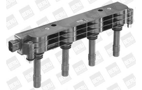 Bobina ZS259 Borgwarner Beru, Imagen 5