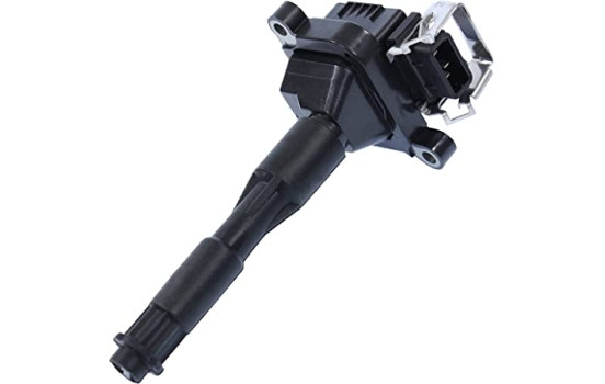 Bobina ZS302 Borgwarner Beru