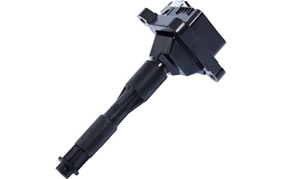 Bobina ZS302 Borgwarner Beru, Imagen 2