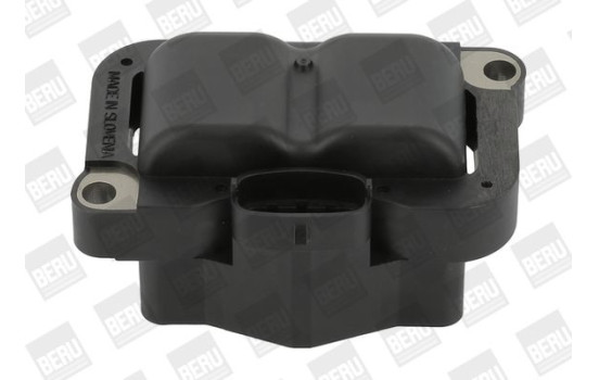 Bobina ZS304 Borgwarner Beru, Imagen 3