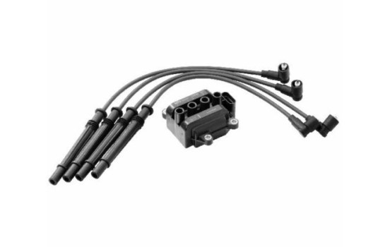 Bobina ZS325 Borgwarner Beru