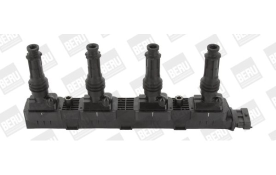 Bobina ZS338 Borgwarner Beru, Imagen 2