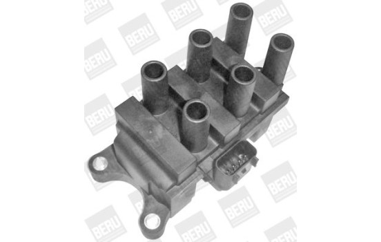 Bobina ZS372 Borgwarner Beru, Imagen 5