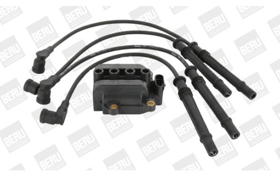 Bobina ZS375 Borgwarner Beru, Imagen 3