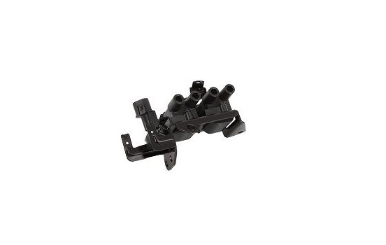 Bobina ZS536 Borgwarner Beru, Imagen 2