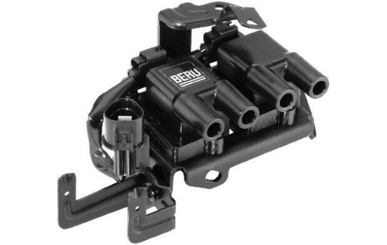 Bobina ZS536 Borgwarner Beru