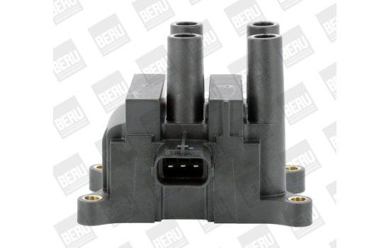 Bobina ZS556 Borgwarner Beru, Imagen 2