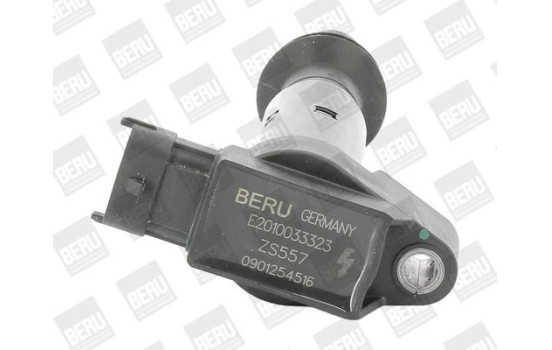 Bobina ZS557 Borgwarner Beru