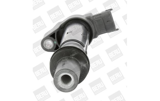 Bobina ZS557 Borgwarner Beru, Imagen 2