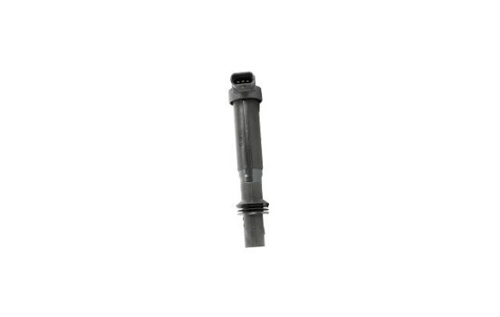 Bobina ZS557 Borgwarner Beru, Imagen 3