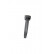 Bobina ZS562 Borgwarner Beru, Miniatura 2