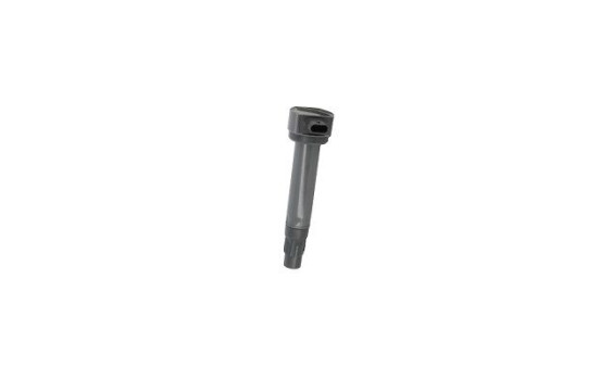 Bobina ZS562 Borgwarner Beru, Imagen 2