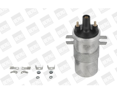 Bobina ZS568 Borgwarner Beru