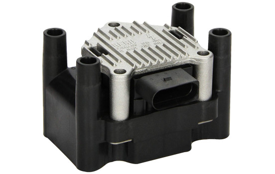 Bobina ZSE003 Borgwarner Beru