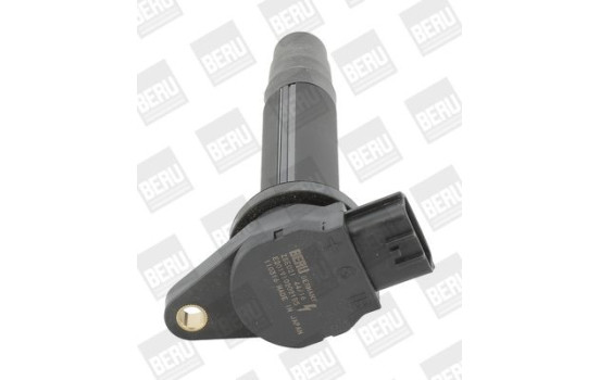 Bobina ZSE021 Borgwarner Beru, Imagen 2