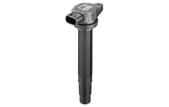 Bobina ZSE021 Borgwarner Beru