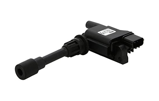 Bobina ZSE083 Borgwarner Beru