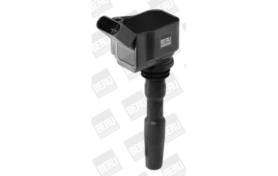 Bobina ZSE126 Borgwarner Beru, Imagen 7