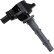 Bobina ZSE140 Borgwarner Beru