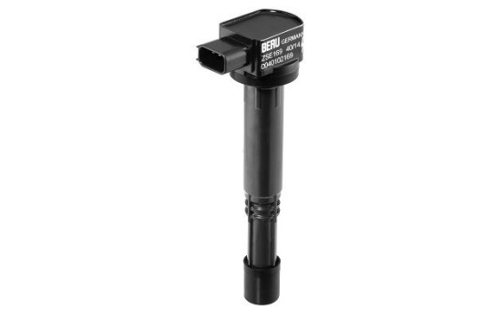 Bobina ZSE169 Borgwarner Beru, Imagen 3