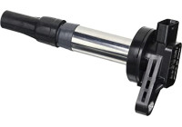 Bobina ZSE196 Borgwarner Beru