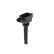 Bobina ZSE239 Borgwarner Beru