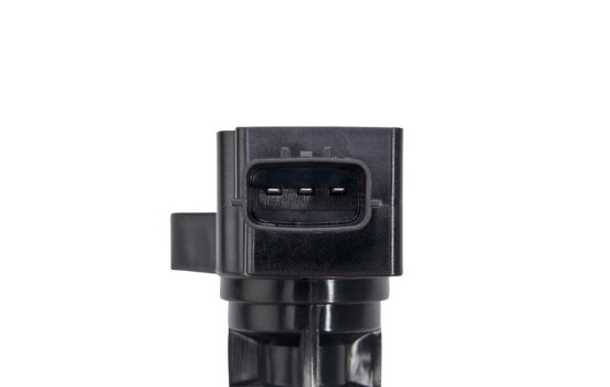 Bobina ZSE244 Borgwarner Beru, Imagen 3