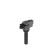 Bobina ZSE290 Borgwarner Beru, Miniatura 2