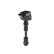 Bobina ZSE294 Borgwarner Beru