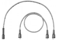 Juego de cables de bujía C13 Beru