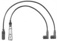 Juego de cables de bujía C30 Beru