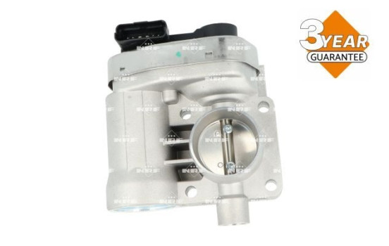 Cuerpo del acelerador, Imagen 4