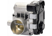 Cuerpo del acelerador