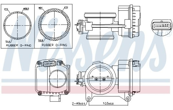 Cuerpo del acelerador, Imagen 2