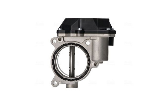 Cuerpo del acelerador, Imagen 2