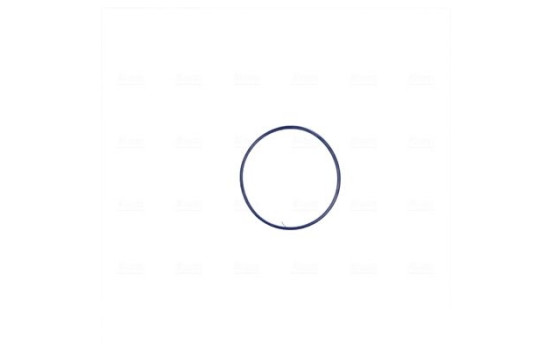 Cuerpo del acelerador, Imagen 5