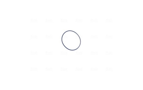 Cuerpo del acelerador, Imagen 6