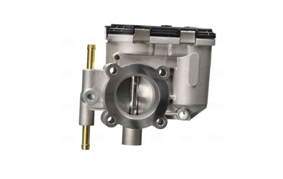 Cuerpo del acelerador, Imagen 2