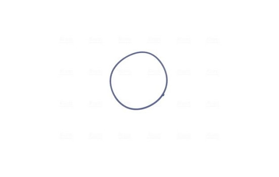 Cuerpo del acelerador, Imagen 4
