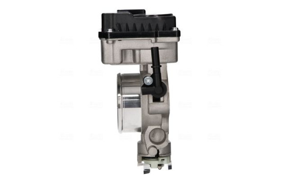 Cuerpo del acelerador, Imagen 2