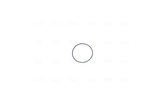 Cuerpo del acelerador, Imagen 5
