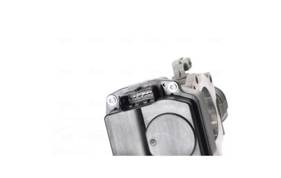 Cuerpo del acelerador, Imagen 6
