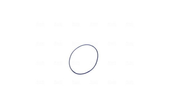 Cuerpo del acelerador, Imagen 6