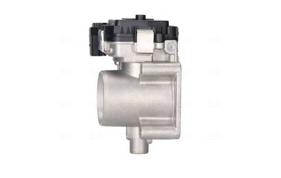 Cuerpo del acelerador, Imagen 2