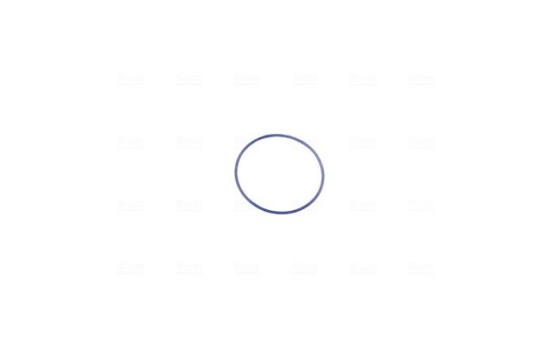 Cuerpo del acelerador, Imagen 6