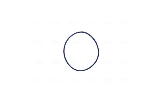 Cuerpo del acelerador, Imagen 4